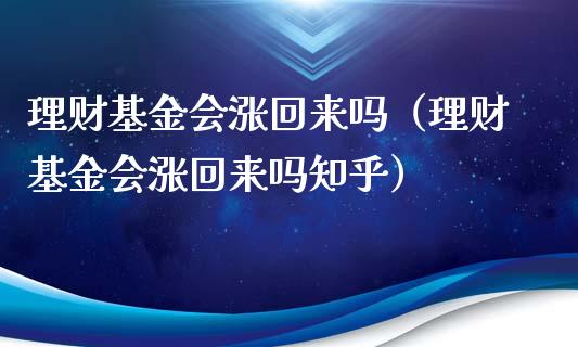 理财基金会涨回来吗（理财基金会涨回来吗知乎）_https://www.kuaijiepai.net_投资理财_第1张