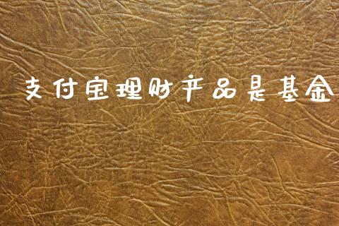 支付宝理财产品是基金_https://www.kuaijiepai.net_期货理财_第1张