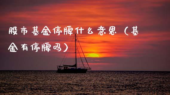 股市基金停牌什么意思（基金有停牌吗）_https://www.kuaijiepai.net_投资理财_第1张