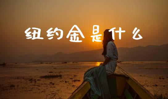 纽约金是什么_https://www.kuaijiepai.net_期货理财_第1张