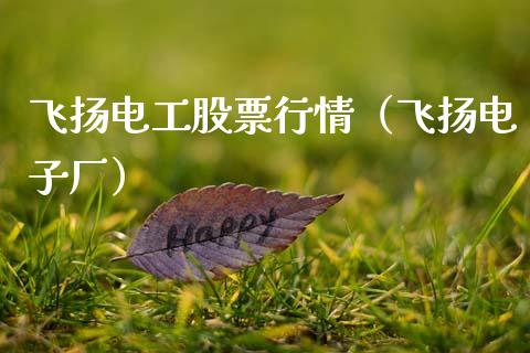 飞扬电工股票行情（飞扬电子厂）_https://www.kuaijiepai.net_国际股建_第1张
