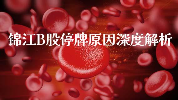 锦江B股停牌原因深度解析_https://www.kuaijiepai.net_新股新闻_第1张