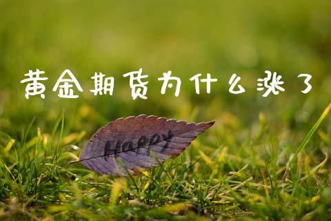 黄金期货为什么涨了_https://www.kuaijiepai.net_国际期货_第1张