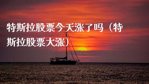 特斯拉股票今天涨了吗（特斯拉股票大涨）_https://www.kuaijiepai.net_国际股建_第1张