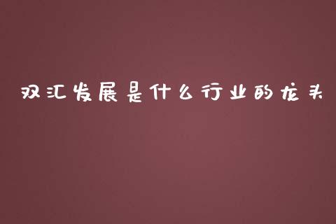 双汇发展是什么行业的龙头_https://www.kuaijiepai.net_期货资讯_第1张