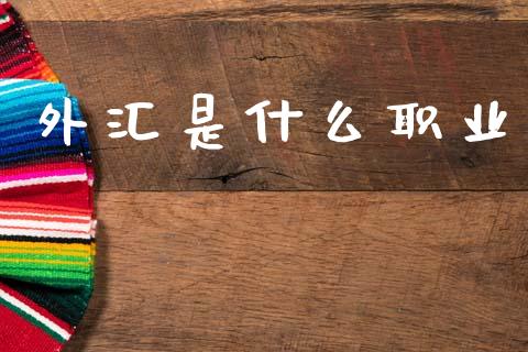 外汇是什么职业_https://www.kuaijiepai.net_投资理财_第1张