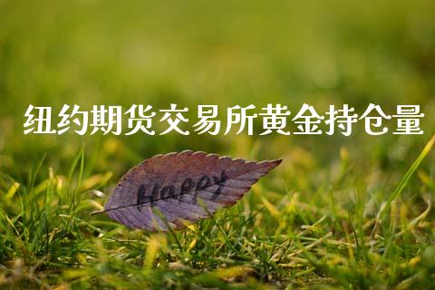 纽约期货交易所黄金持仓量_https://www.kuaijiepai.net_期货资讯_第1张