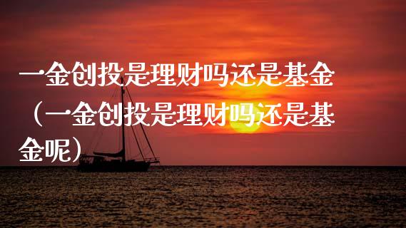 一金创投是理财吗还是基金（一金创投是理财吗还是基金呢）_https://www.kuaijiepai.net_期货理财_第1张