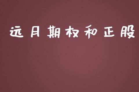 远月期权和正股_https://www.kuaijiepai.net_国际期货_第1张