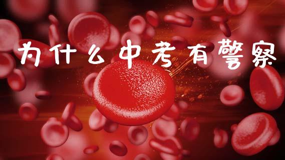 为什么中考有警察_https://www.kuaijiepai.net_国际股建_第1张