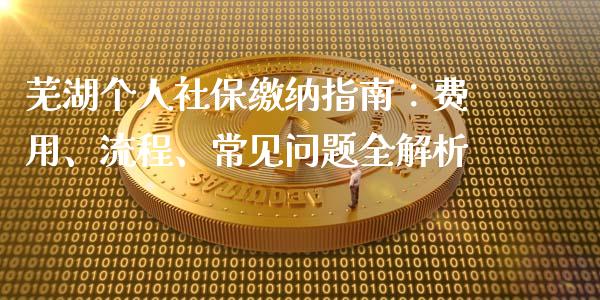 芜湖个人社保缴纳指南：费用、流程、常见问题全解析_https://www.kuaijiepai.net_投资理财_第1张