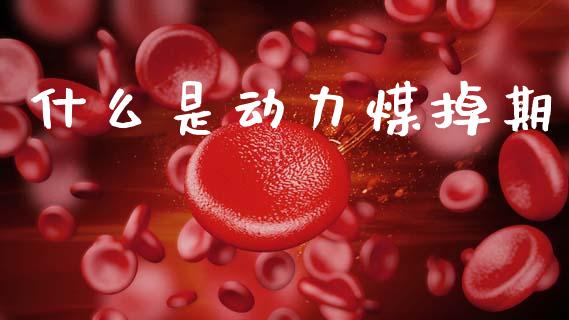 什么是动力煤掉期_https://www.kuaijiepai.net_国际股建_第1张