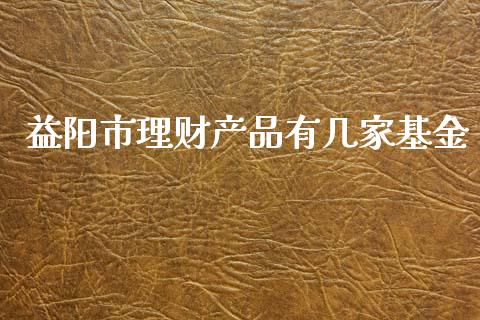 益阳市理财产品有几家基金_https://www.kuaijiepai.net_投资理财_第1张