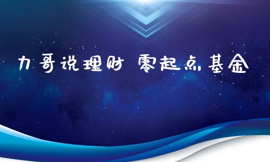 力哥说理财 零起点基金_https://www.kuaijiepai.net_期货理财_第1张
