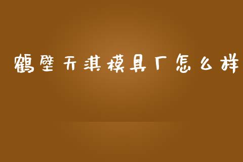 鹤壁天淇模具厂怎么样_https://www.kuaijiepai.net_投资理财_第1张