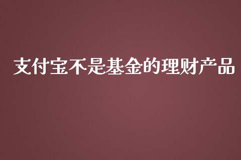 支付宝不是基金的理财产品_https://www.kuaijiepai.net_投资理财_第1张