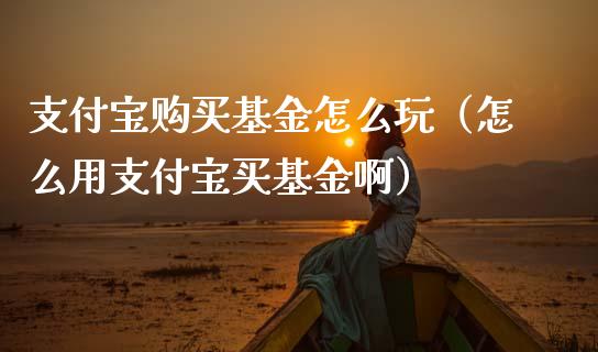 支付宝购买基金怎么玩（怎么用支付宝买基金啊）_https://www.kuaijiepai.net_期货理财_第1张