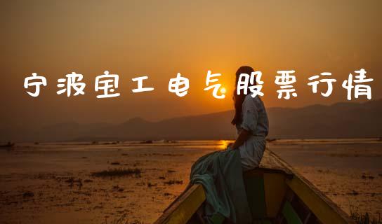 宁波宝工电气股票行情_https://www.kuaijiepai.net_国际股建_第1张