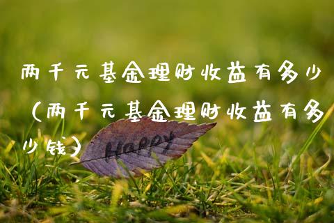 两千元基金理财收益有多少（两千元基金理财收益有多少钱）_https://www.kuaijiepai.net_投资理财_第1张