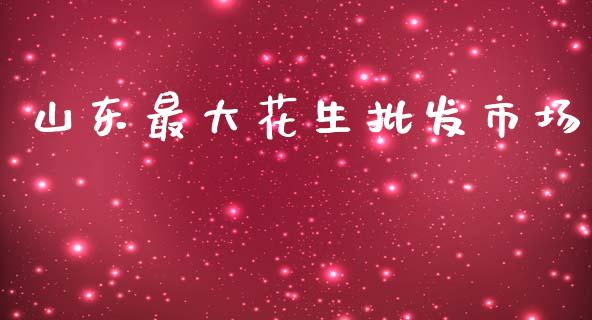 山东最大花生批发市场_https://www.kuaijiepai.net_期货资讯_第1张