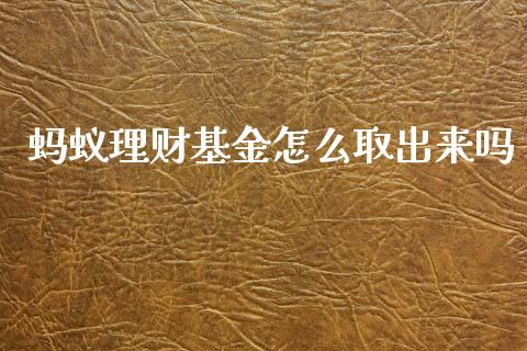 蚂蚁理财基金怎么取出来吗_https://www.kuaijiepai.net_期货理财_第1张