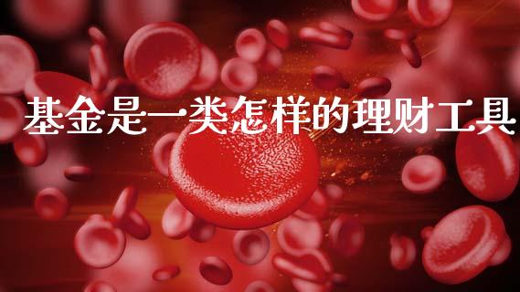 基金是一类怎样的理财工具_https://www.kuaijiepai.net_期货理财_第1张