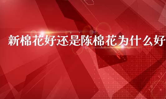 新棉花好还是陈棉花为什么好_https://www.kuaijiepai.net_期货资讯_第1张