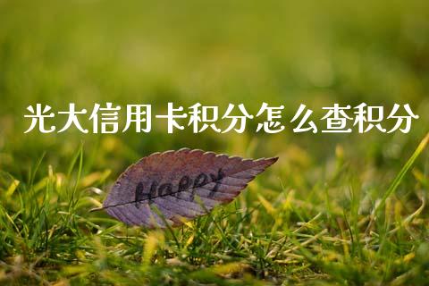 光大信用卡积分怎么查积分_https://www.kuaijiepai.net_新股新闻_第1张