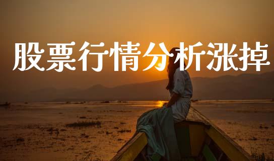 股票行情分析涨掉_https://www.kuaijiepai.net_国际股建_第1张