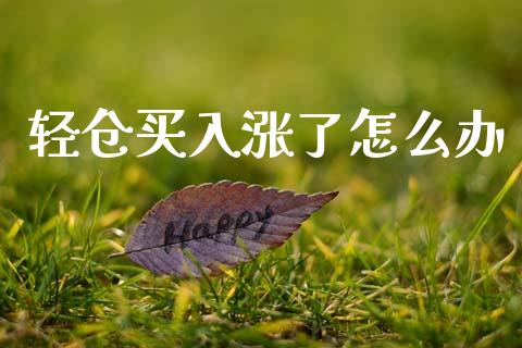 轻仓买入涨了怎么办_https://www.kuaijiepai.net_期货理财_第1张