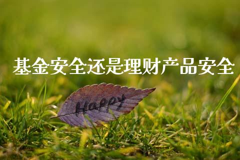 基金安全还是理财产品安全_https://www.kuaijiepai.net_投资理财_第1张