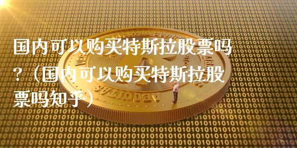 国内可以购买特斯拉股票吗?（国内可以购买特斯拉股票吗知乎）_https://www.kuaijiepai.net_新股新闻_第1张