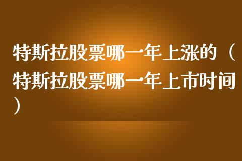 特斯拉股票哪一年上涨的（特斯拉股票哪一年上市时间）_https://www.kuaijiepai.net_国际股建_第1张