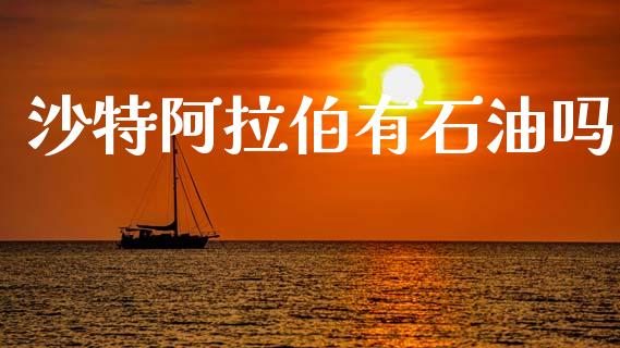 沙特阿拉伯有石油吗_https://www.kuaijiepai.net_期货在线_第1张