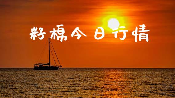 籽棉今日行情_https://www.kuaijiepai.net_期货资讯_第1张