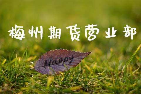 梅州期货营业部_https://www.kuaijiepai.net_期货资讯_第1张