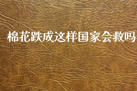 棉花跌成这样国家会救吗_https://www.kuaijiepai.net_期货资讯_第1张