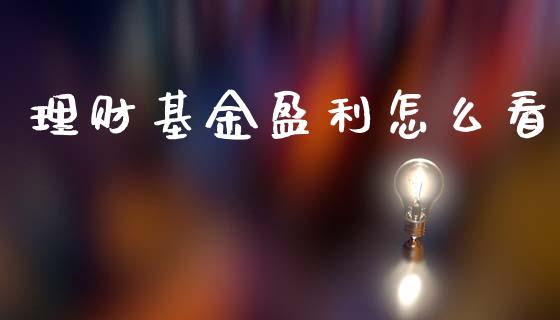 理财基金盈利怎么看_https://www.kuaijiepai.net_投资理财_第1张