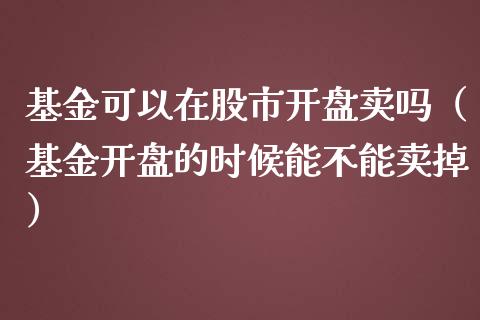 基金可以在股市开盘卖吗（基金开盘的时候能不能卖掉）_https://www.kuaijiepai.net_投资理财_第1张