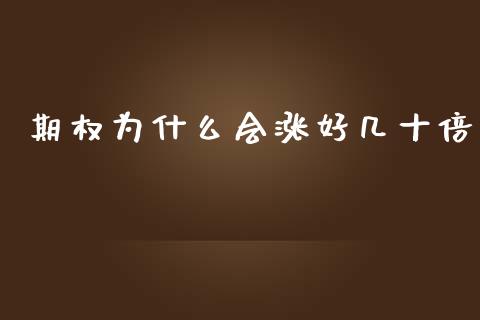 期权为什么会涨好几十倍_https://www.kuaijiepai.net_期货资讯_第1张