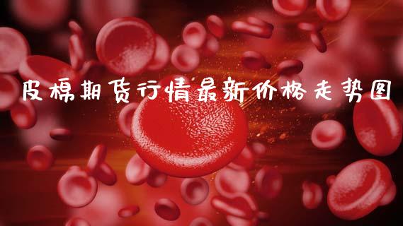 皮棉期货行情最新价格走势图_https://www.kuaijiepai.net_国际期货_第1张