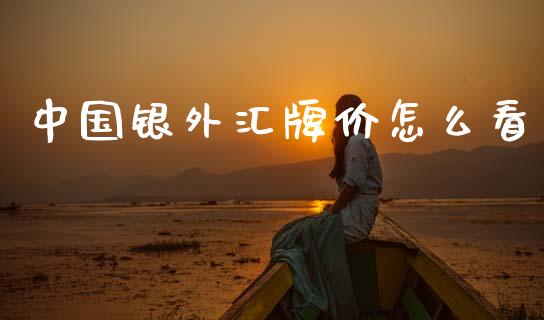 中国银外汇牌价怎么看_https://www.kuaijiepai.net_新股新闻_第1张