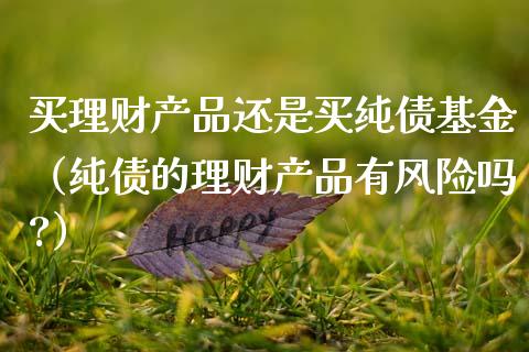 买理财产品还是买纯债基金（纯债的理财产品有风险吗?）_https://www.kuaijiepai.net_投资理财_第1张