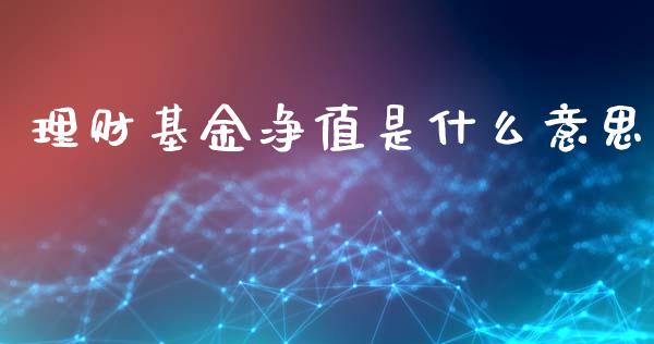 理财基金净值是什么意思_https://www.kuaijiepai.net_期货理财_第1张