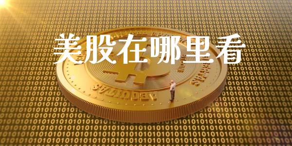 美股在哪里看_https://www.kuaijiepai.net_国际期货_第1张