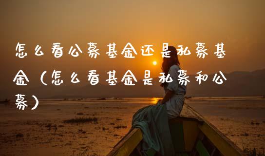 怎么看公募基金还是私募基金（怎么看基金是私募和公募）_https://www.kuaijiepai.net_期货理财_第1张