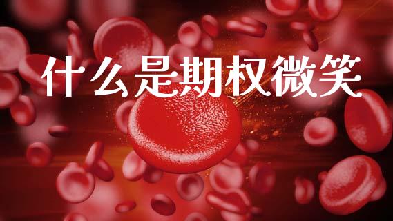 什么是期权微笑_https://www.kuaijiepai.net_国际股建_第1张