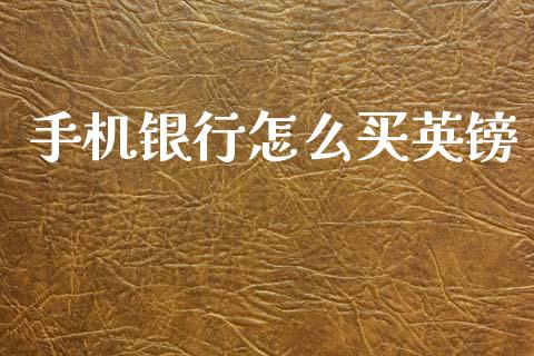 手机银行怎么买英镑_https://www.kuaijiepai.net_期货资讯_第1张