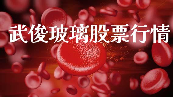 武俊玻璃股票行情_https://www.kuaijiepai.net_股票理论_第1张