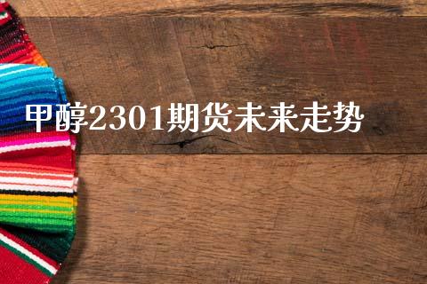 甲醇2301期货未来走势_https://www.kuaijiepai.net_期货资讯_第1张